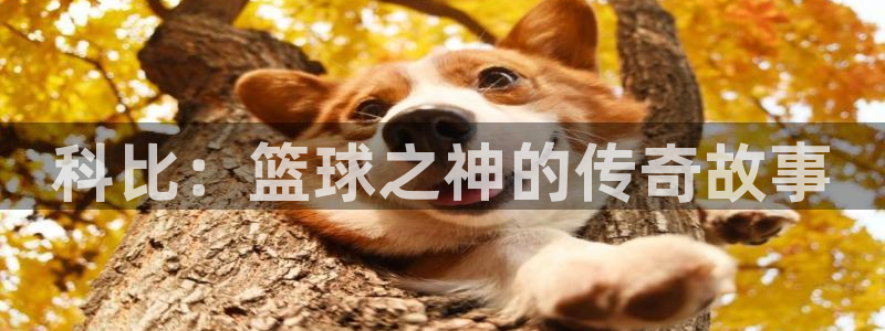 玩球直播官网app：科比：篮球之神的传奇故事