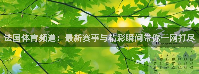 玩球直播wqzb：法国体育频道：最新赛事与精彩瞬间带你一网打尽