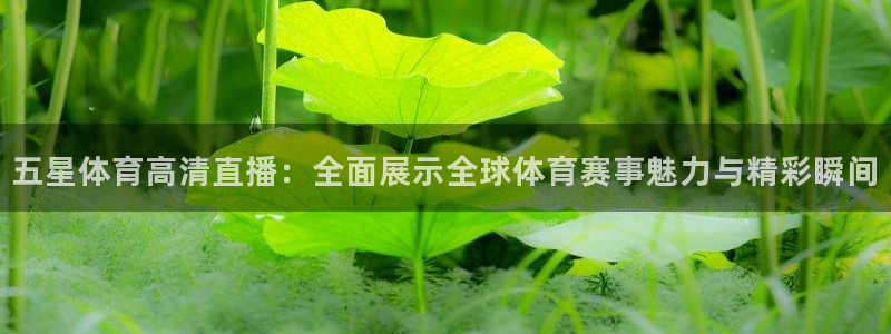 玩球直播吧：五星体育高清直播：全面展示全球体育赛事魅力与精彩瞬间