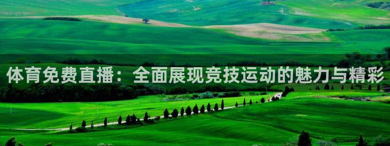 小班体育游戏玩球：体育免费直播：全面展现竞技运动的魅力与精彩