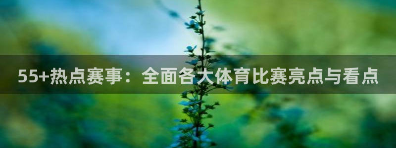 玩球直播app下载：55+热点赛事：全面各大体育比赛亮点与看点