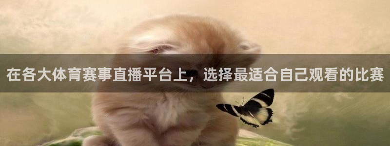 玩球tv直播：在各大体育赛事直播平台上，选择最适合自己观看的比赛