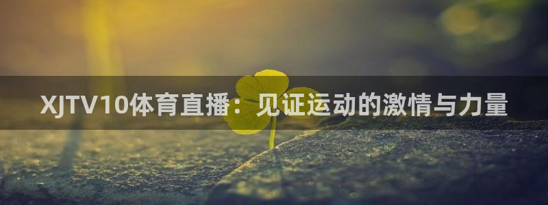玩球直播官网app：XJTV10体育直播：见证运动的激情与力量
