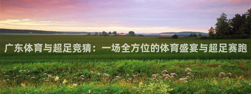 玩球直播wqzb：广东体育与超足竞猜：一场全方位的体育盛宴与超足赛跑