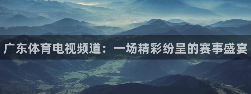 玩球直播nba：广东体育电视频道：一场精彩纷呈的赛事盛宴