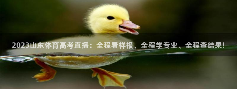玩球直播在线：2023山东体育高考直播：全程看样报、全程学专业、全程查结果!