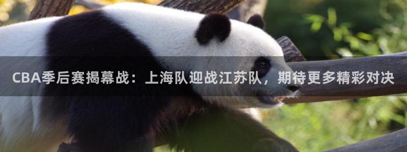 玩球直播官网nba直播：CBA季后赛揭幕战：上海队迎战江苏队，期待更多精彩对决