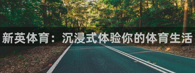 玩球app直播：新英体育：沉浸式体验你的体育生活