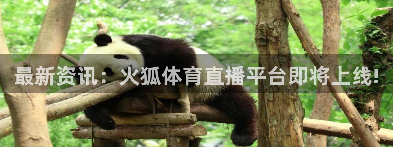 直播玩球：最新资讯：火狐体育直播平台即将上线!
