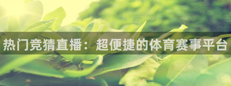 玩球直播最新版：热门竞猜直播：超便捷的体育赛事平台