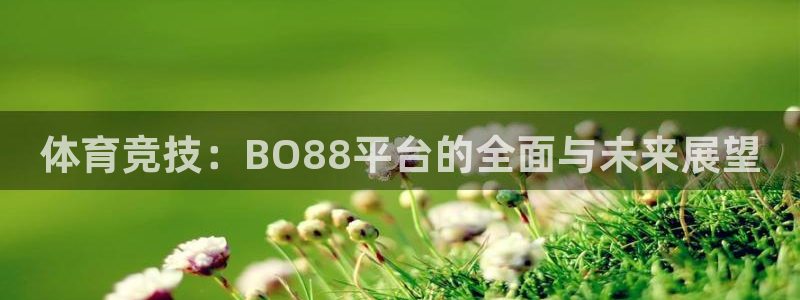 玩球体育app：体育竞技：BO88平台的全面与未来展望
