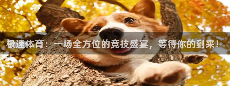 360玩球直播：极速体育：一场全方位的竞技盛宴，等待你的到来！