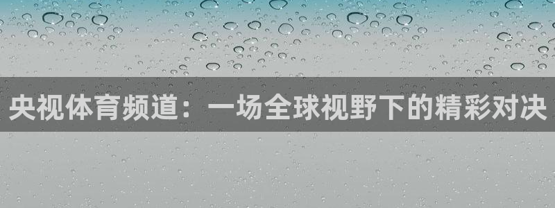 玩球体育app：央视体育频道：一场全球视野下的精彩对决